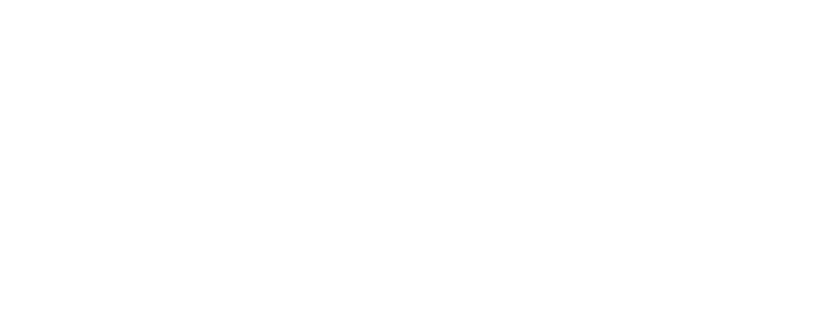 logo light